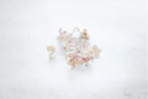 名称未設定のデザイン